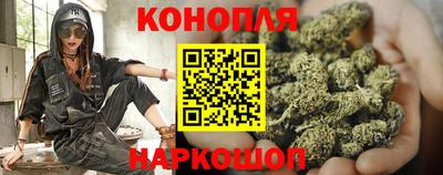 сатива Будённовск